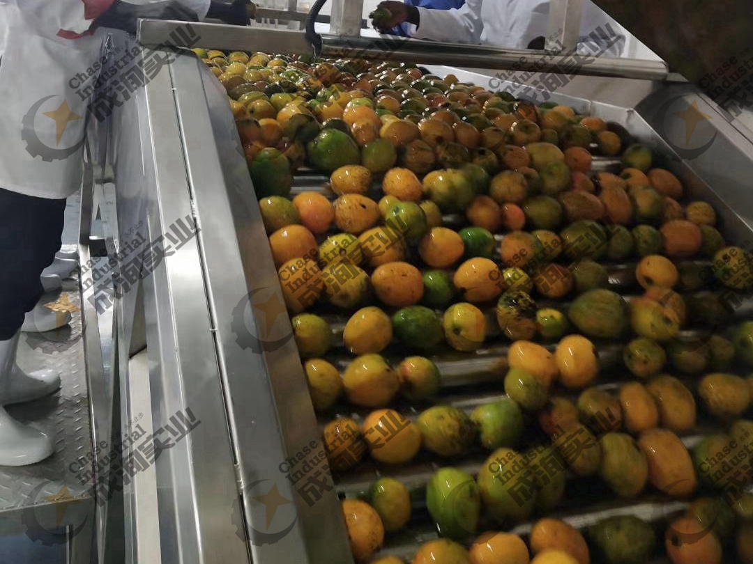 果蔬深加工设备