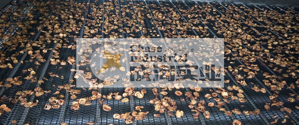 贵州 刺梨干生产线