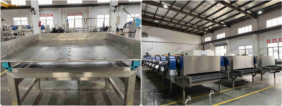 果干果脯加工设备:振动布料筛和低温烘干机隧道